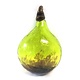 Warthog Glassworks - Ted Jolda Ornament - Fig