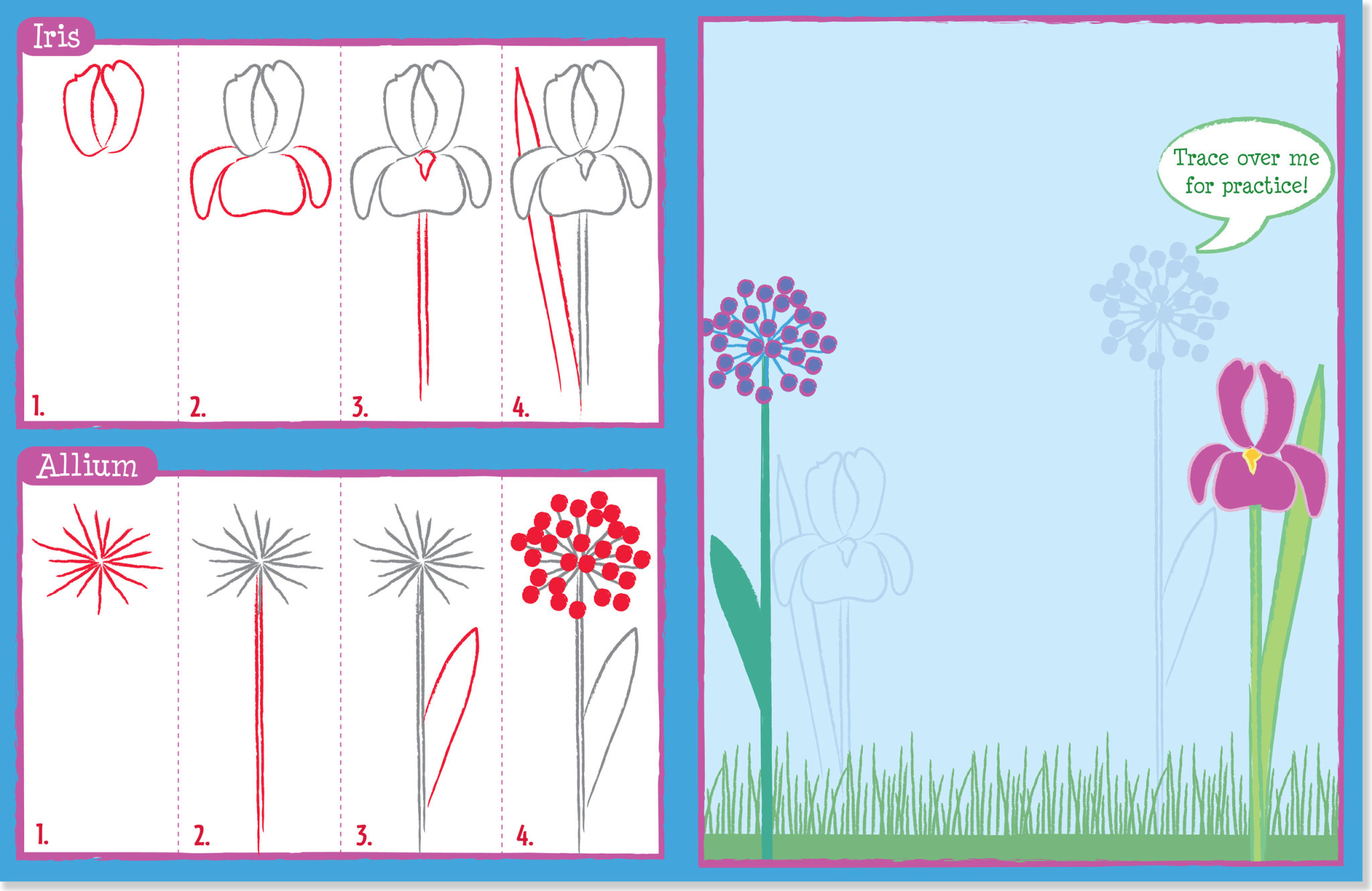 Learn to Draw Flower Garden
