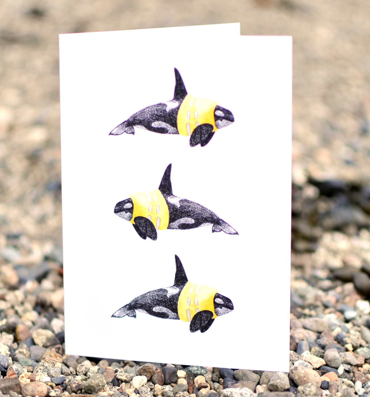 Natasha van Netten Art Card - Water Safety - Orca