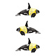 Natasha van Netten Art Card - Water Safety - Orca