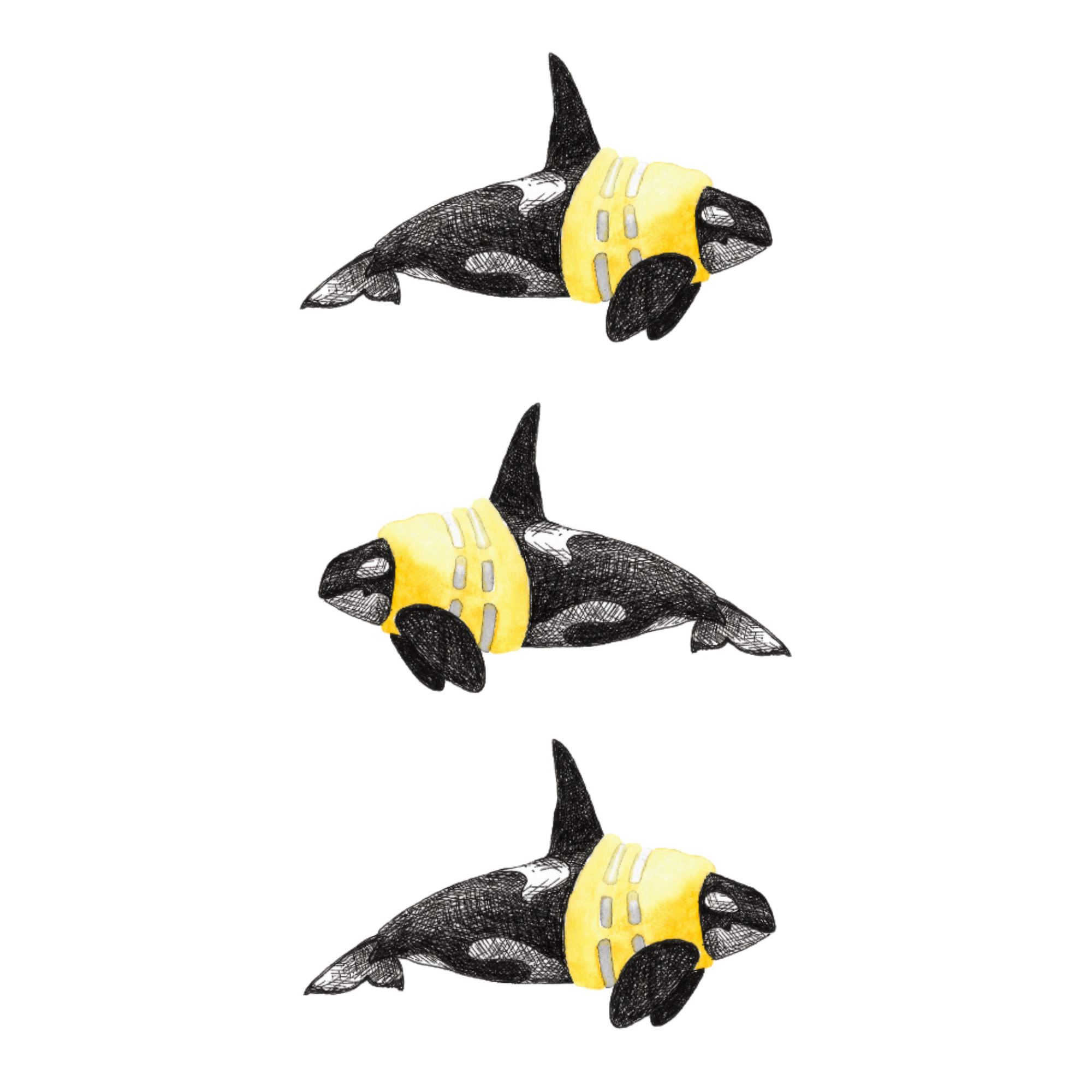 Natasha van Netten Art Card - Water Safety - Orca