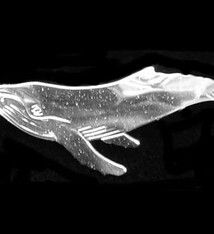 Wren Silverworks - Stuart Duncan - CCBC Brooch - Humpback Whale