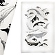Tea Towel - Whales