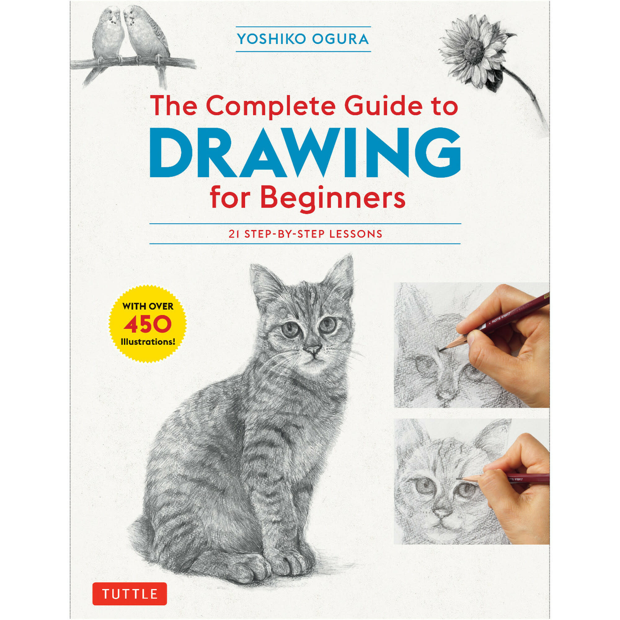 The Complete Guide to Drawing for Beginners