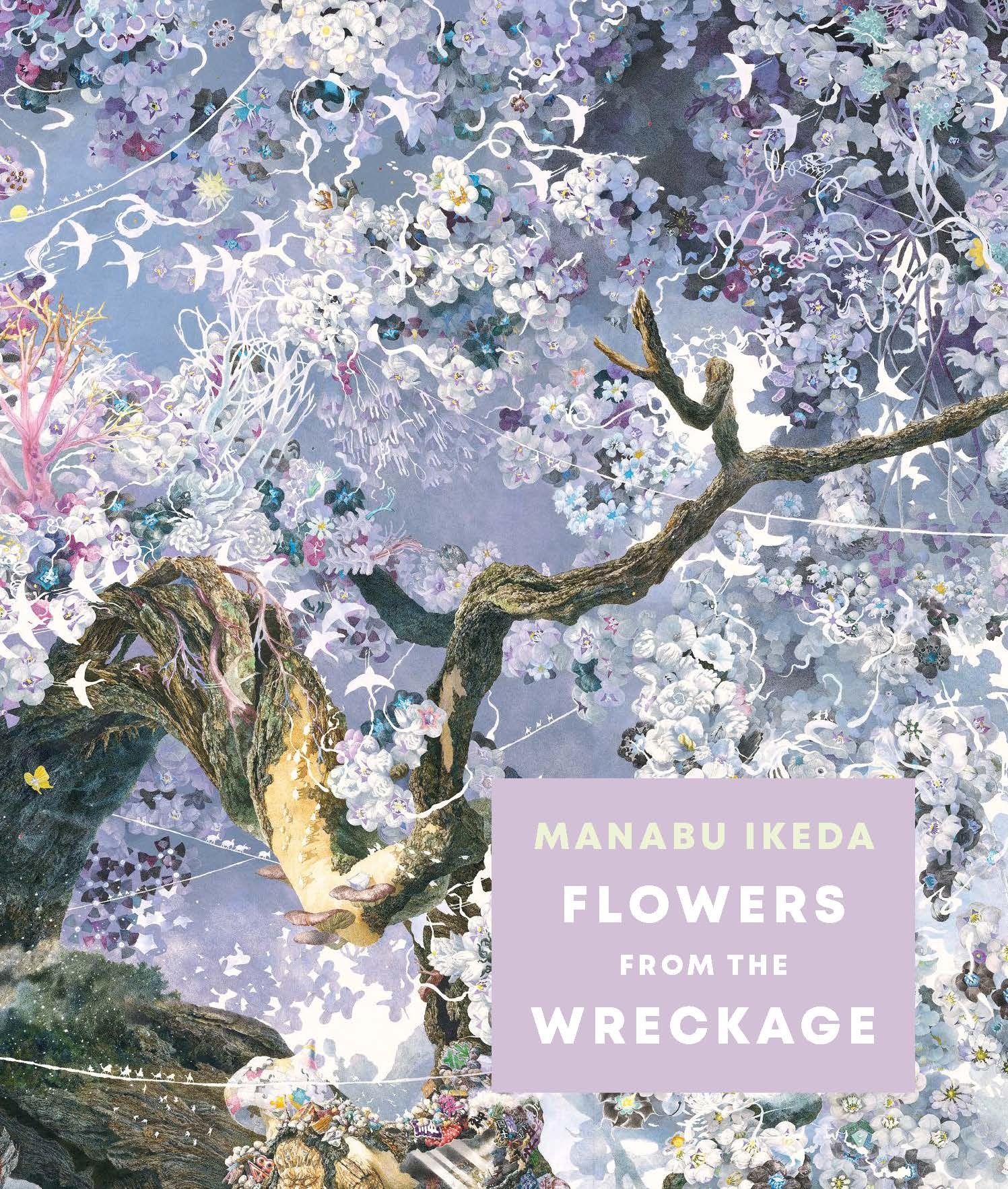 Manabu Ikeda - Flowers from the Wreckage