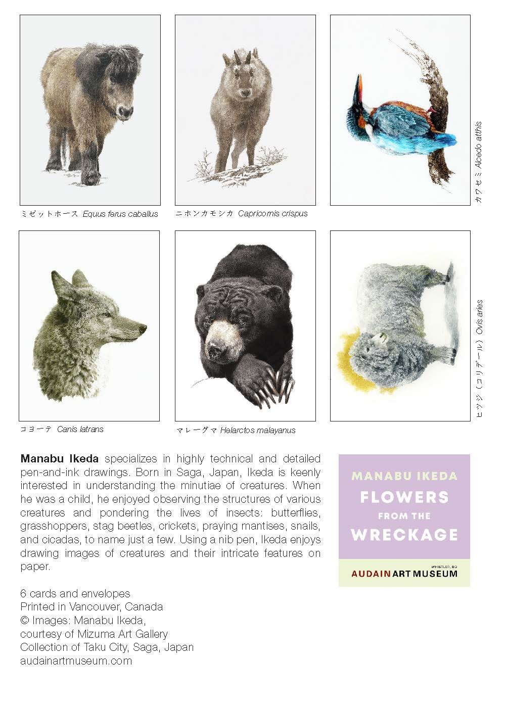 Art Card Set of 6 - Manabu Ikeda - Animals