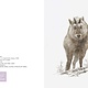 Art Card Set of 6 - Manabu Ikeda - Animals