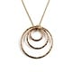 Mikel Grant Jewelry Necklace - Nesting Trio Circle - 14K Gold, 18" Chain