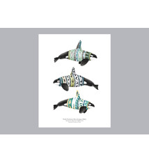Natasha van Netten Print - Orca Ecotypes (Male)