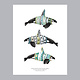 Natasha van Netten Print - Orca Ecotypes (Male)