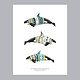 Natasha van Netten Print - Orca Ecotypes (Female)
