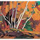 Postcard - Tom Thomson Autumn Birches