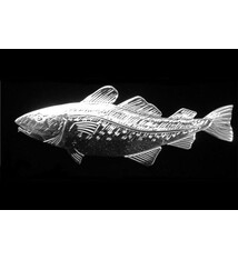 Wren Silverworks - Stuart Duncan - CCBC Brooch - Atlantic Cod