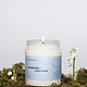 Soy Wax Candle - Rainwater + Forest Moss