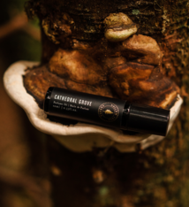 Perfume - Cathedral Grove