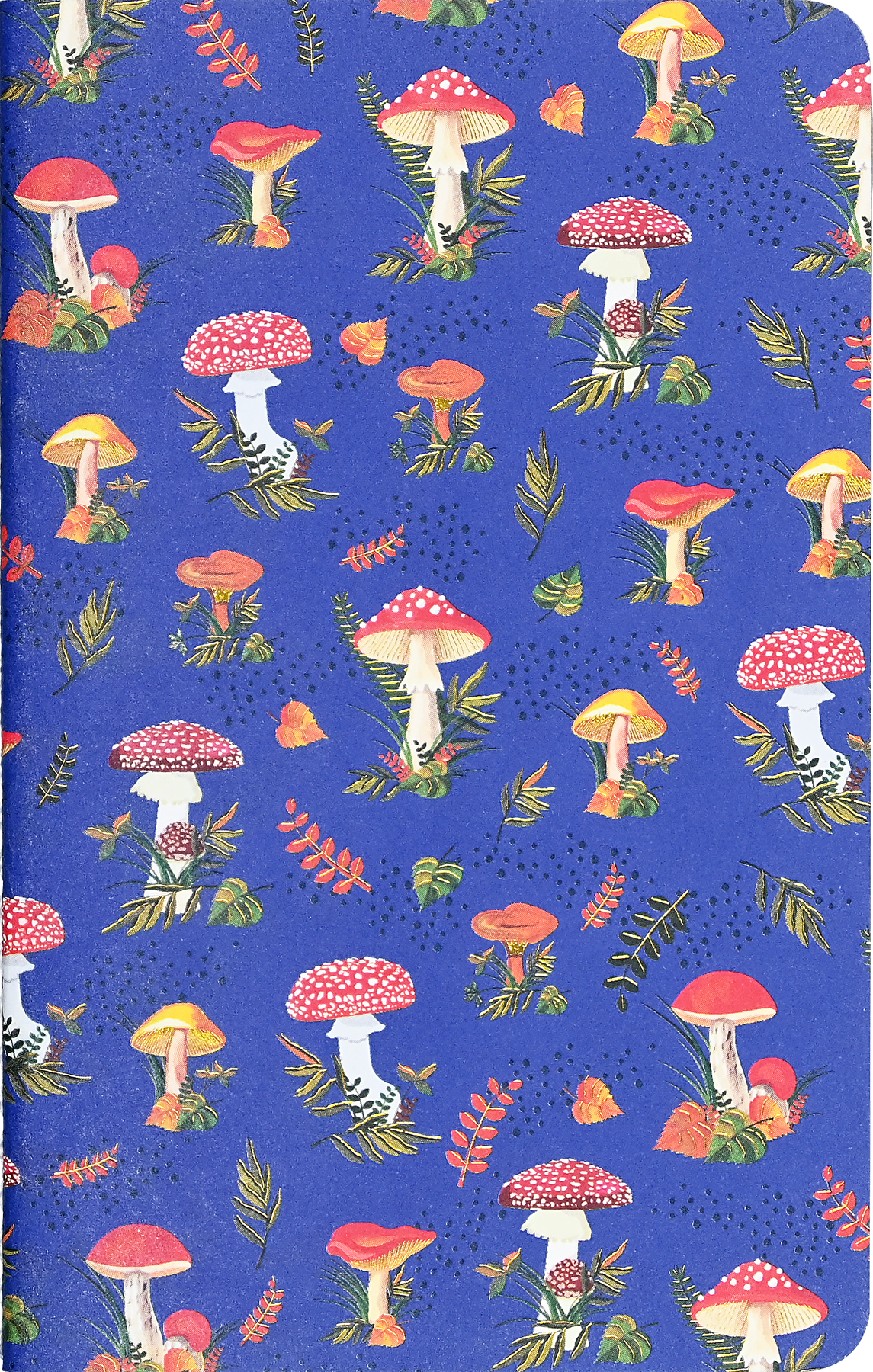 Jotter Notebook Set of 3 - Mushrooms