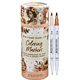 Studio Series Dual-Tip Skin Tone Markers (Set of 24)