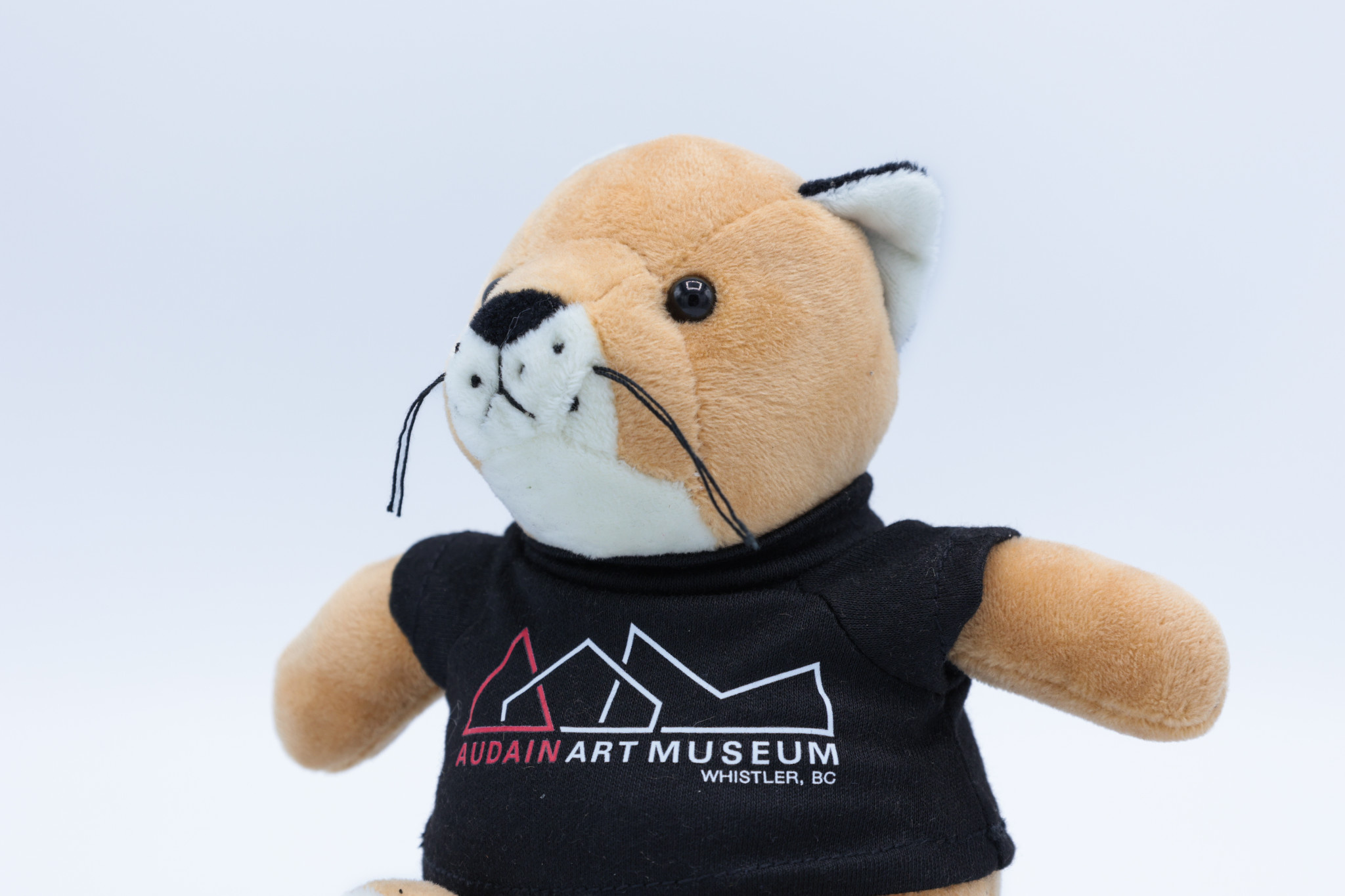 AAM Logo AAM Logo T-Shirt Plush - Cougar