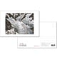Postcard - Edward Burtynsky - Coast Mountains #13, Mount Waddington Glacier