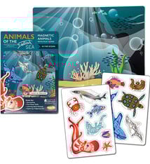 Magnetic Animals - Animals of the Salish Sea - In the Ocean