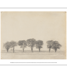 Mini Poster - Group of Trees along the Royal Road near Gentofte, Denmark 11x14"