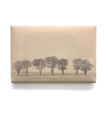 Magnet - Group of Trees along the Royal Road near Gentofte, Denmark