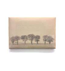 Magnet - Group of Trees along the Royal Road near Gentofte, Denmark