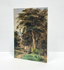 Notecard - Mount Royal