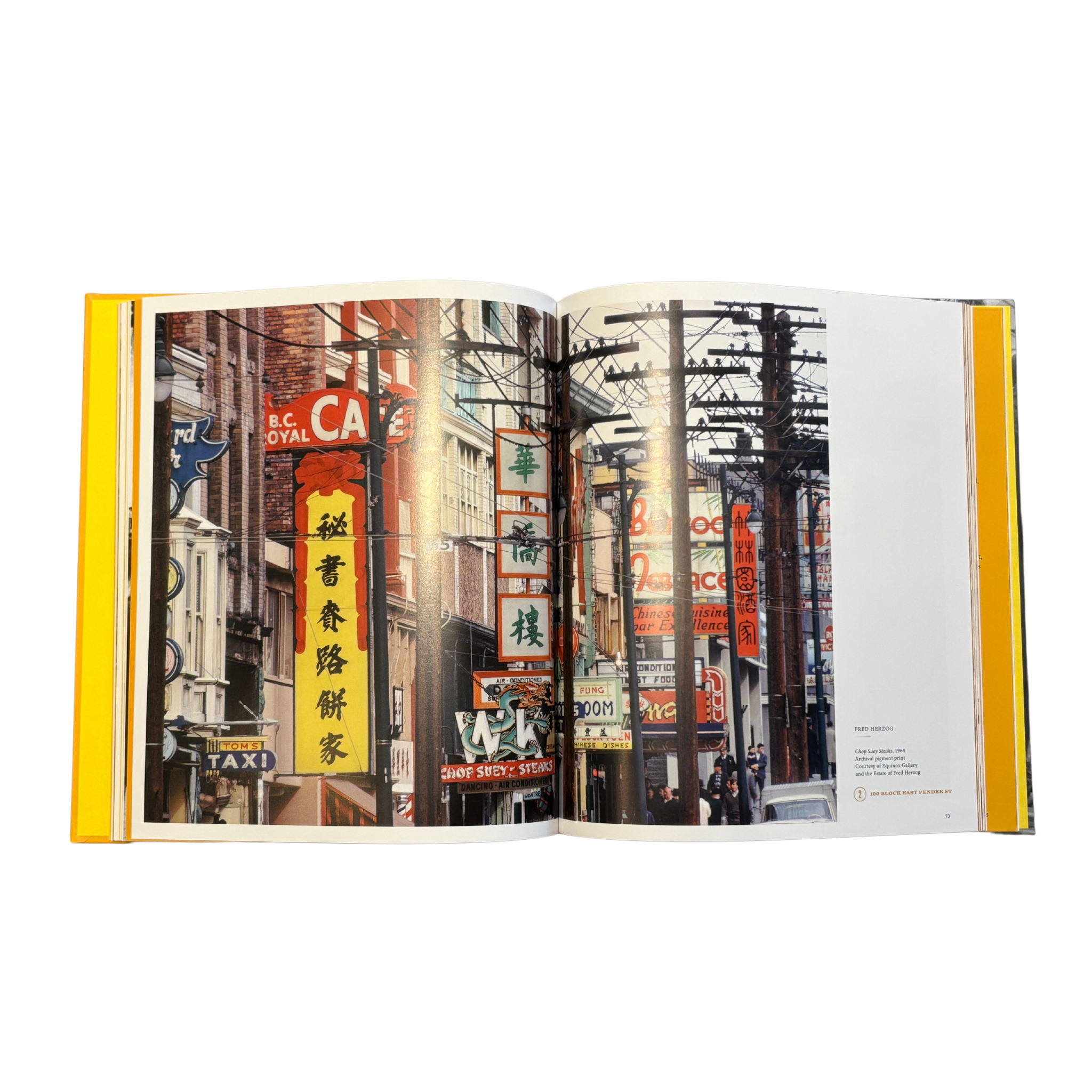 Vitality: Iconic Images, Hidden Stories