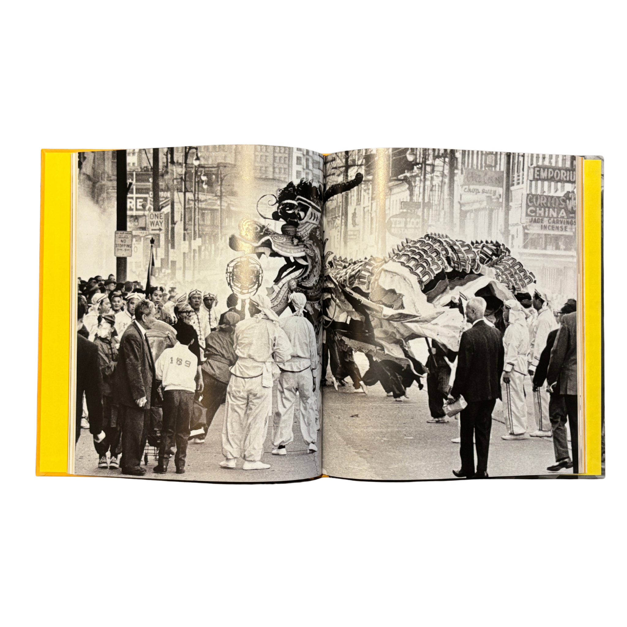 Vitality: Iconic Images, Hidden Stories