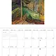 Wall Calendar - Emily Carr 2026