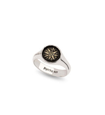 Pyrrha Ring - Direction 14K Gold on Silver - Sz 9