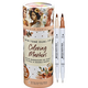 Studio Series Dual-Tip Skin Tone Markers (Set of 24)