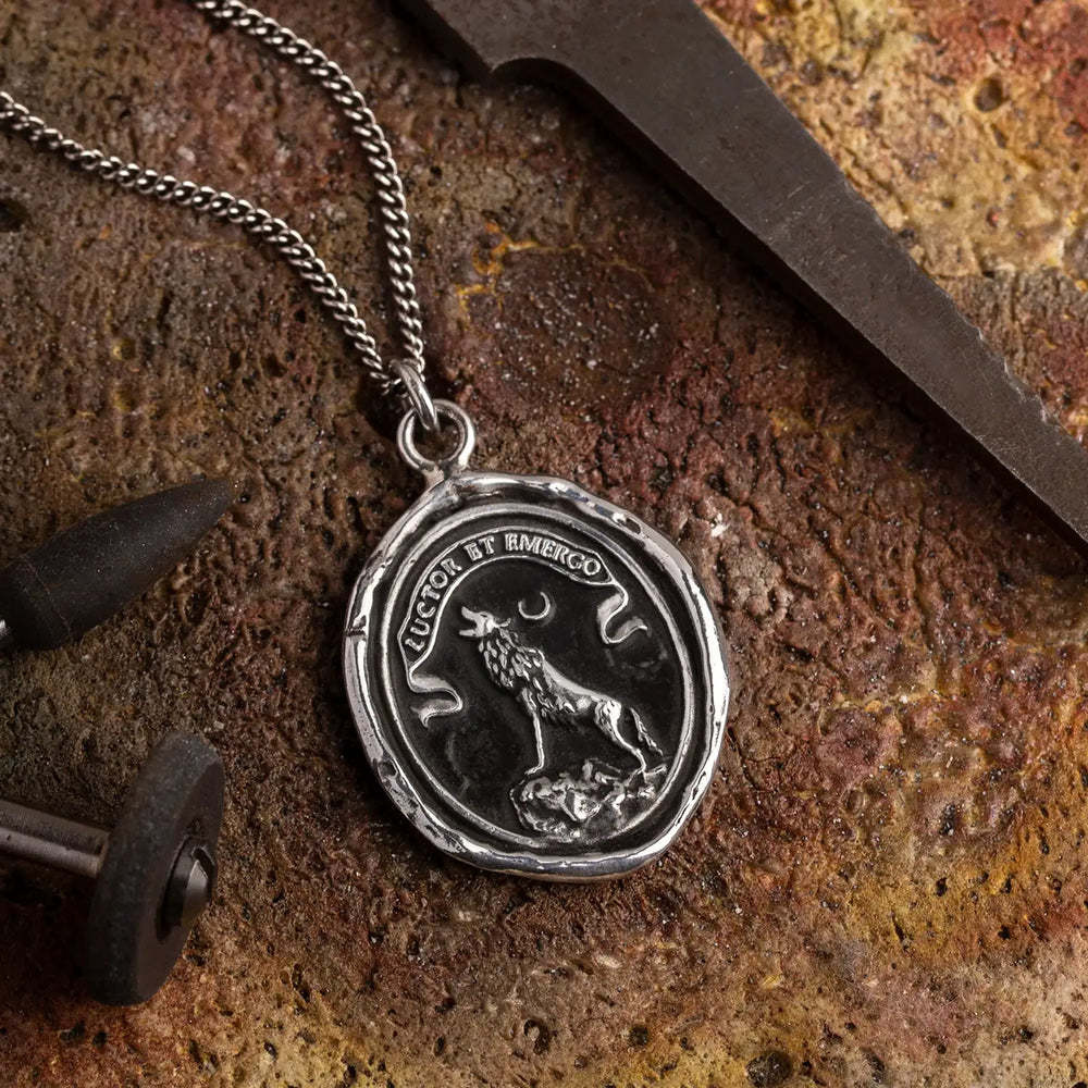 Pyrrha Necklace - Struggle and Emerge Oxidized Sterling Silver 22"