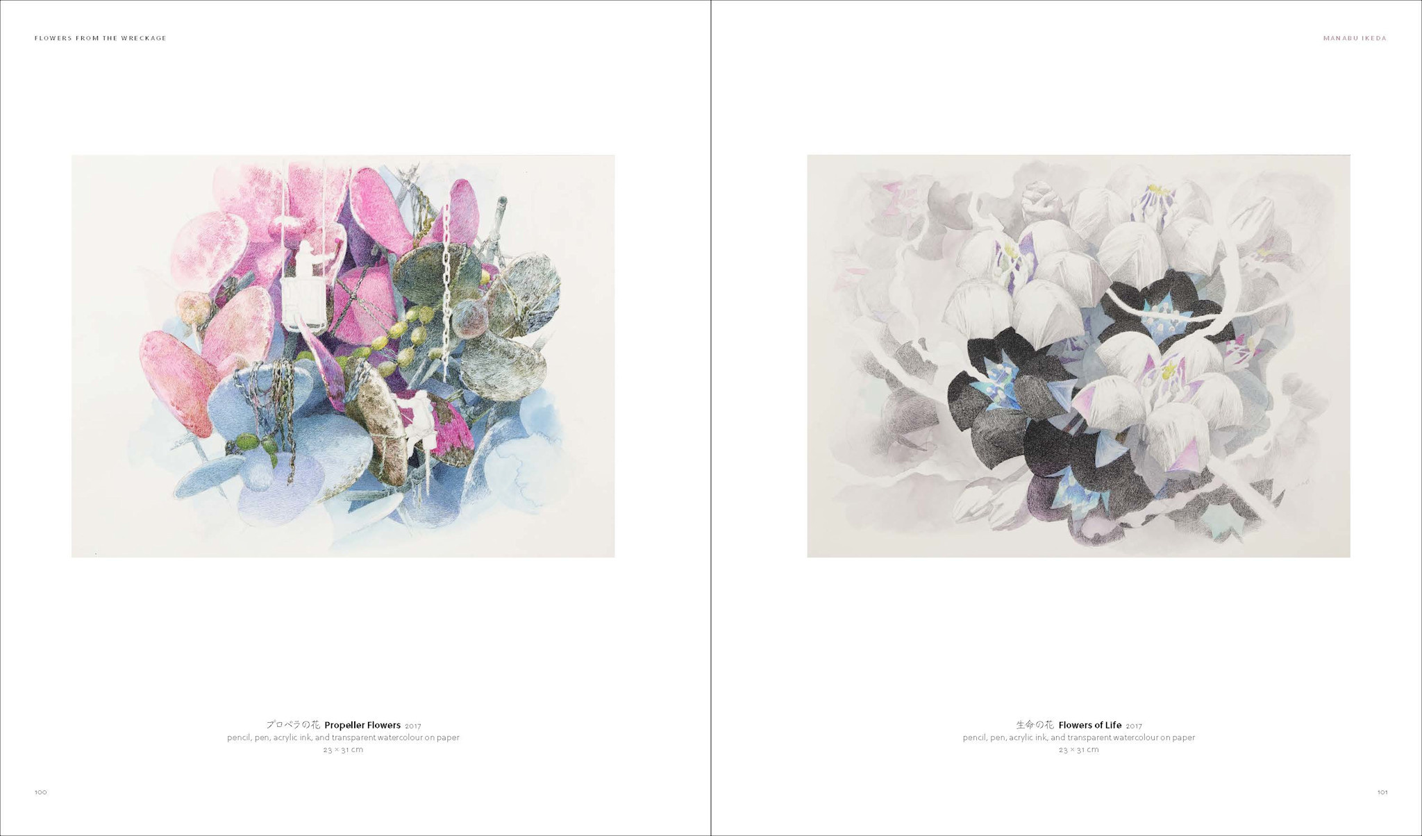 Manabu Ikeda - Flowers from the Wreckage