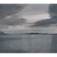 AAM Special Exhibition Postcards - Takao Tanabe, 4 options