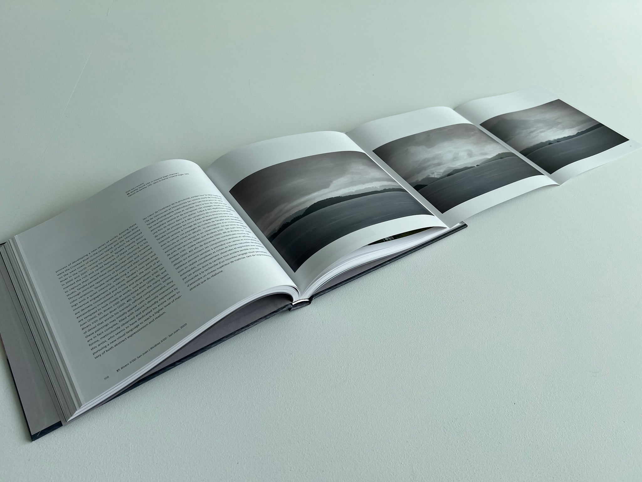 AAM Special Exhibition Catalog - Takao Tanabe: Inside Passage | Passage intérieur