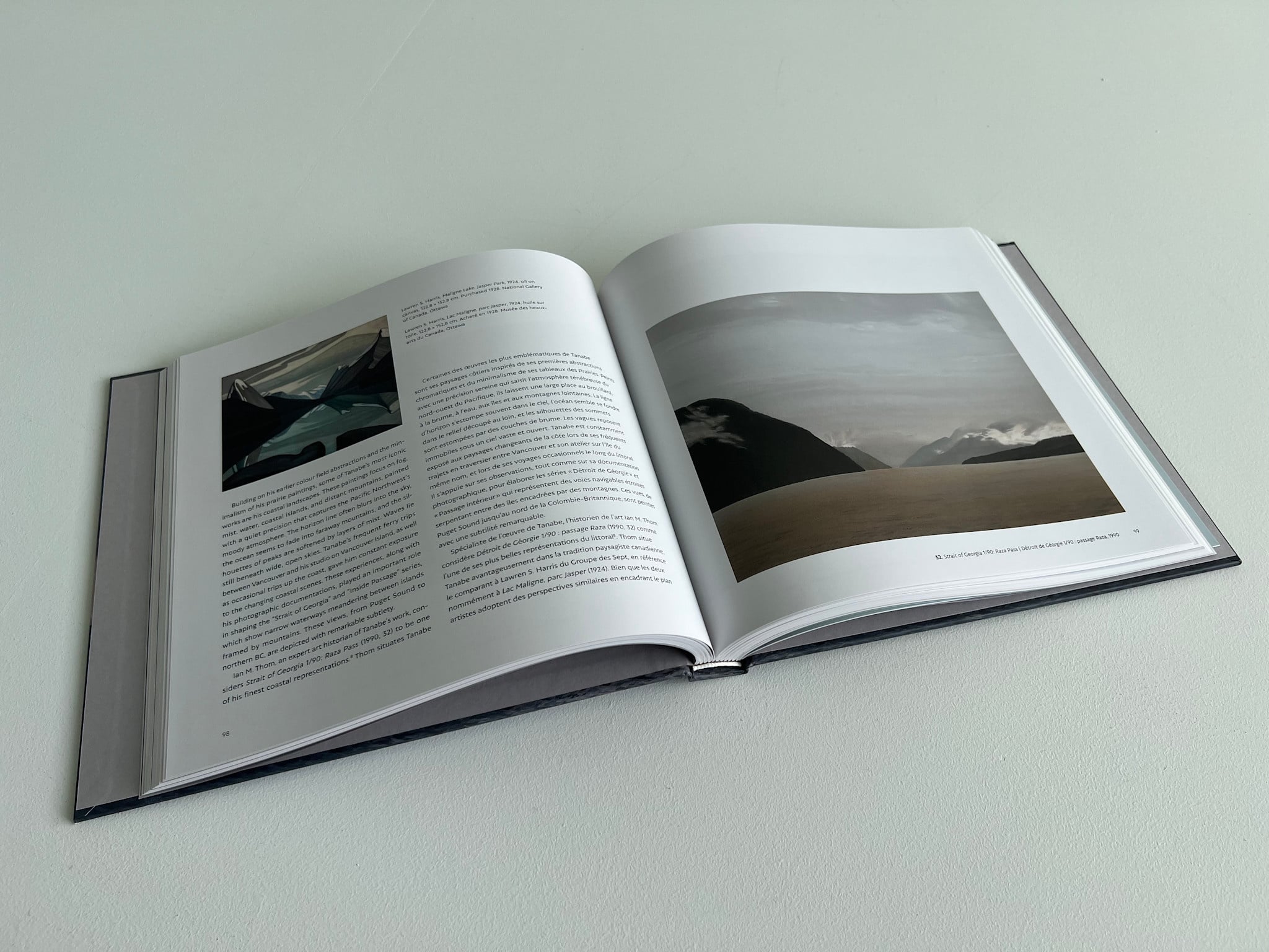 AAM Special Exhibition Catalog - Takao Tanabe: Inside Passage | Passage intérieur