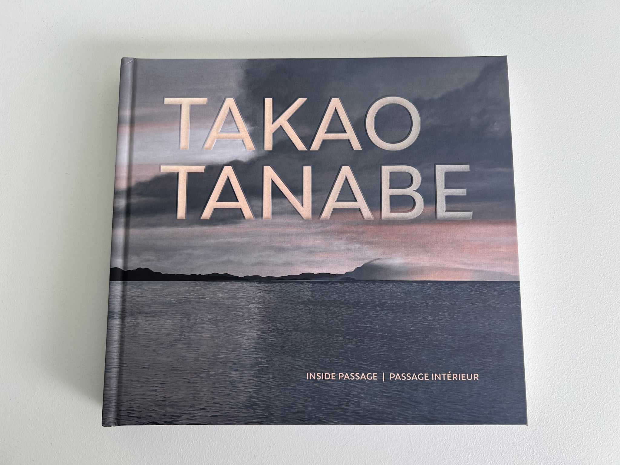 AAM Special Exhibition Catalog - Takao Tanabe: Inside Passage | Passage intérieur