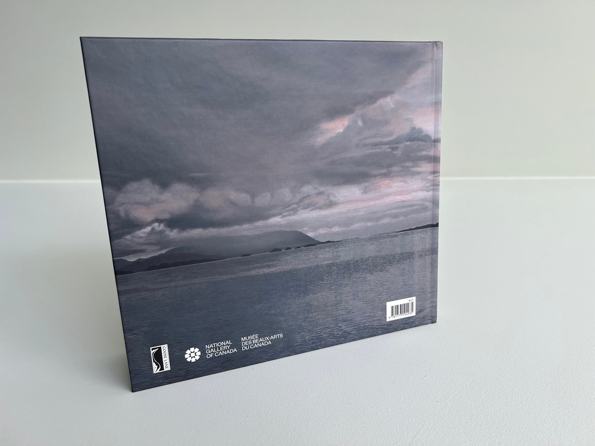 AAM Special Exhibition Catalog - Takao Tanabe: Inside Passage | Passage intérieur
