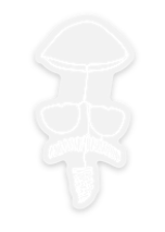 AAM Special Exhibition Stickers - Bill Reid: Portrait of Takao Tanabe, 2 options