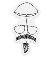 AAM Special Exhibition Stickers - Bill Reid: Portrait of Takao Tanabe, 2 options