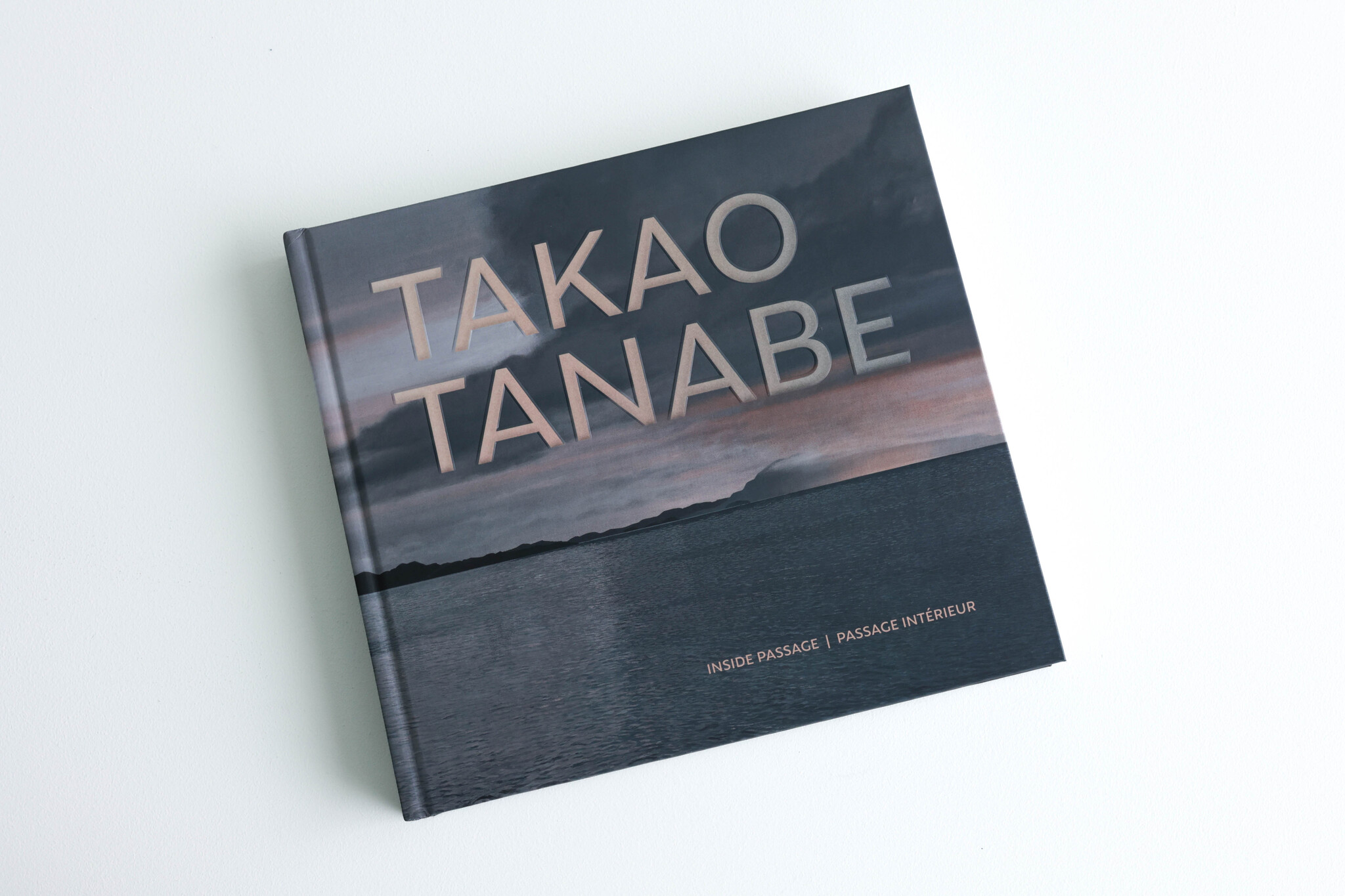 AAM Special Exhibition Catalog - Takao Tanabe: Inside Passage | Passage intérieur