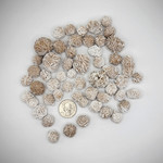 CP Desert Rose Selenite