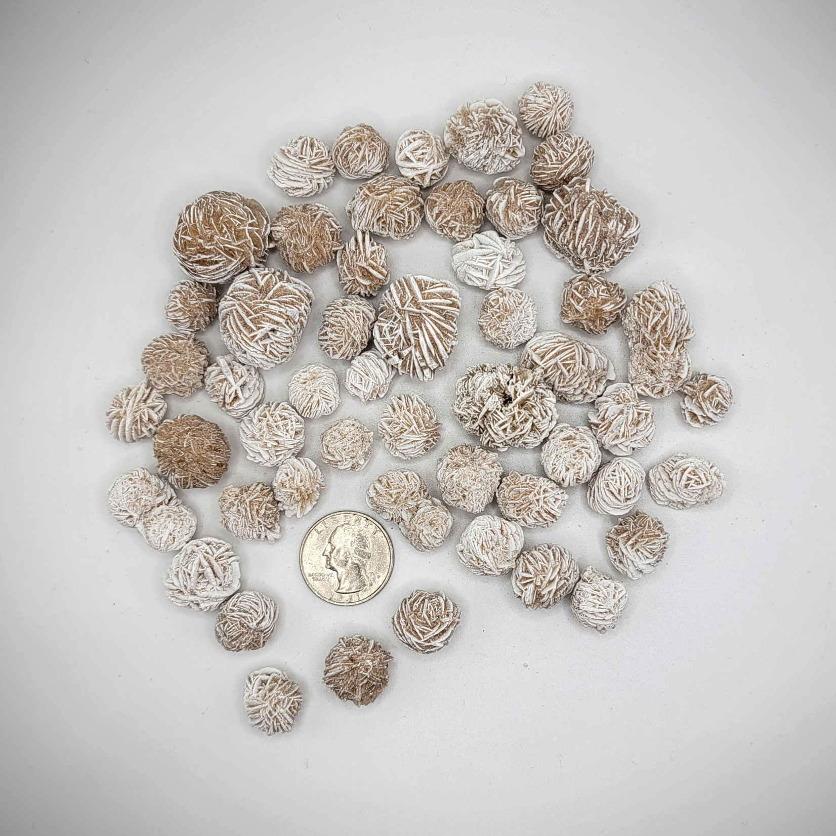 CP Desert Rose Selenite