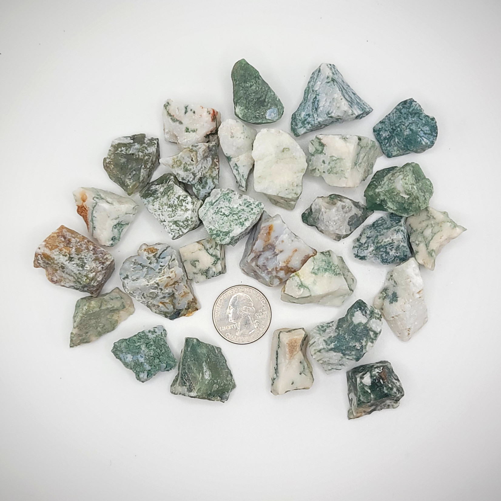 CP Rough Tree Agate