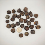 CP Rough Garnet