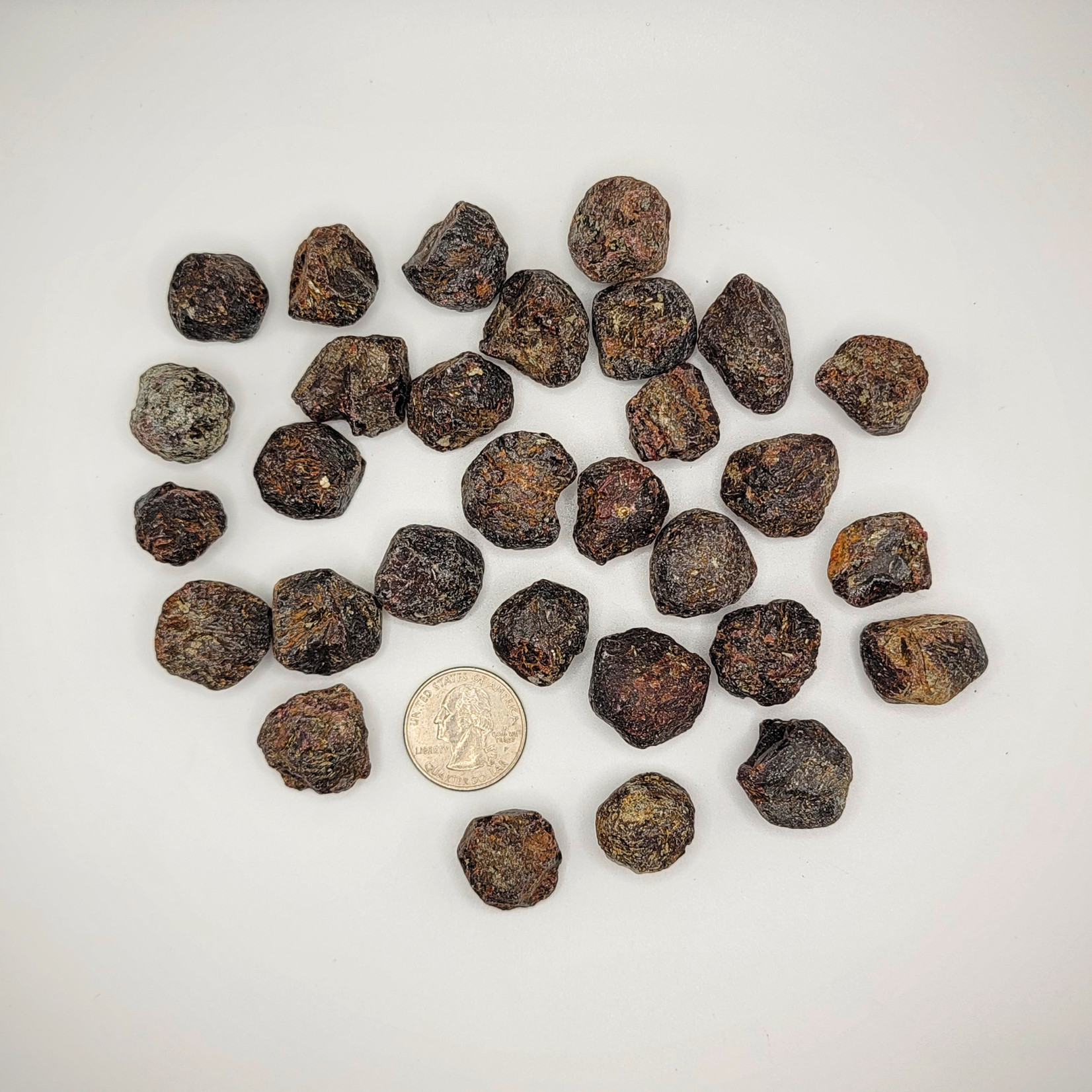 CP Rough Garnet