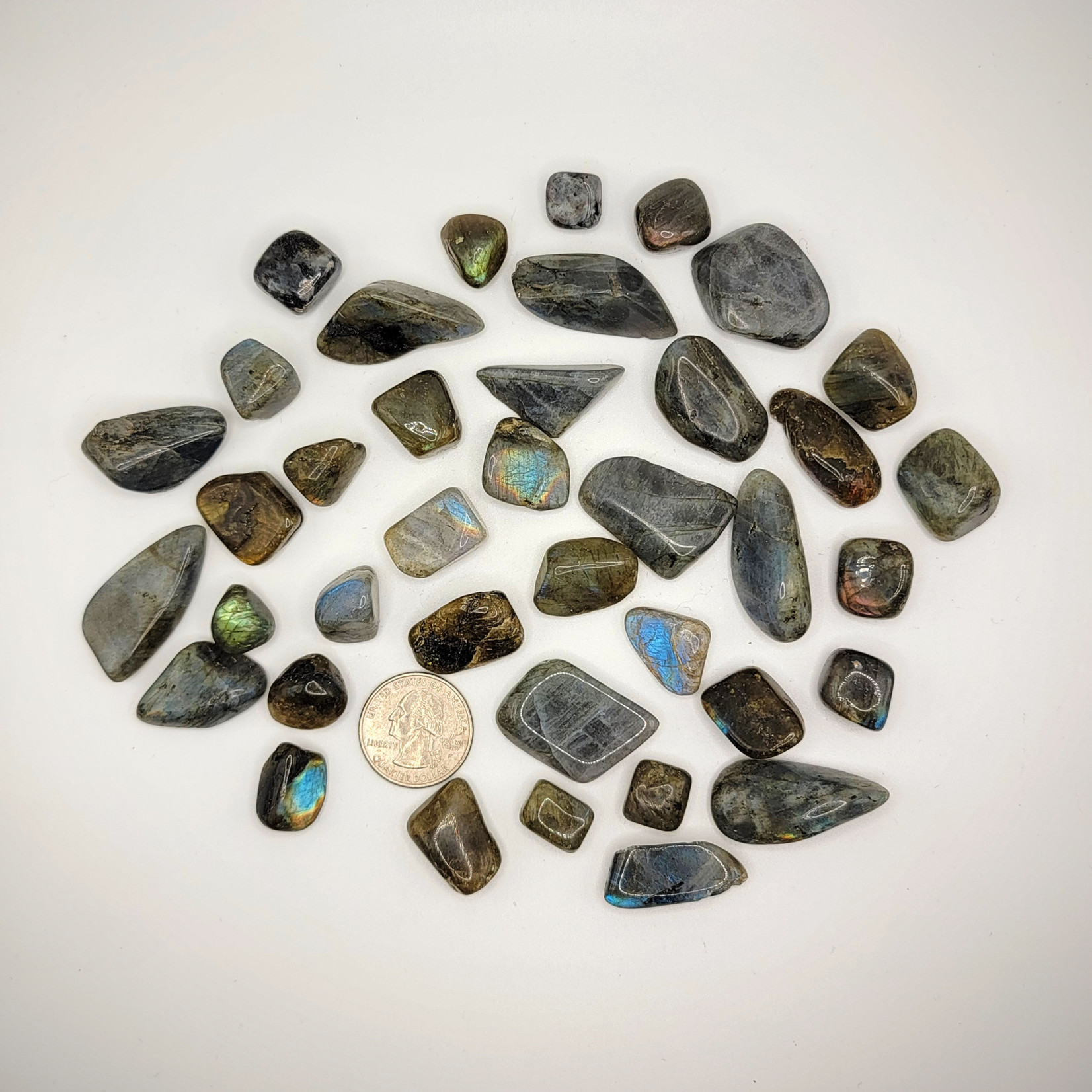 CP Labradorite
