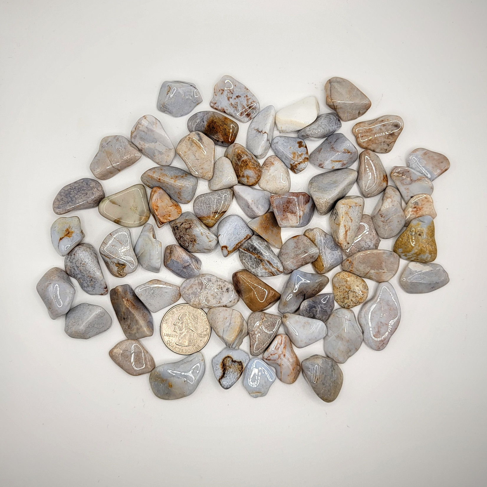 CP Tumbled Chalcedony Agate